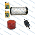 Onderhoudspakket + 2L Motorolie, Lombardini Focs/Progress LWD 502(505)Oliefilter Luchtfilter Dieselfilter