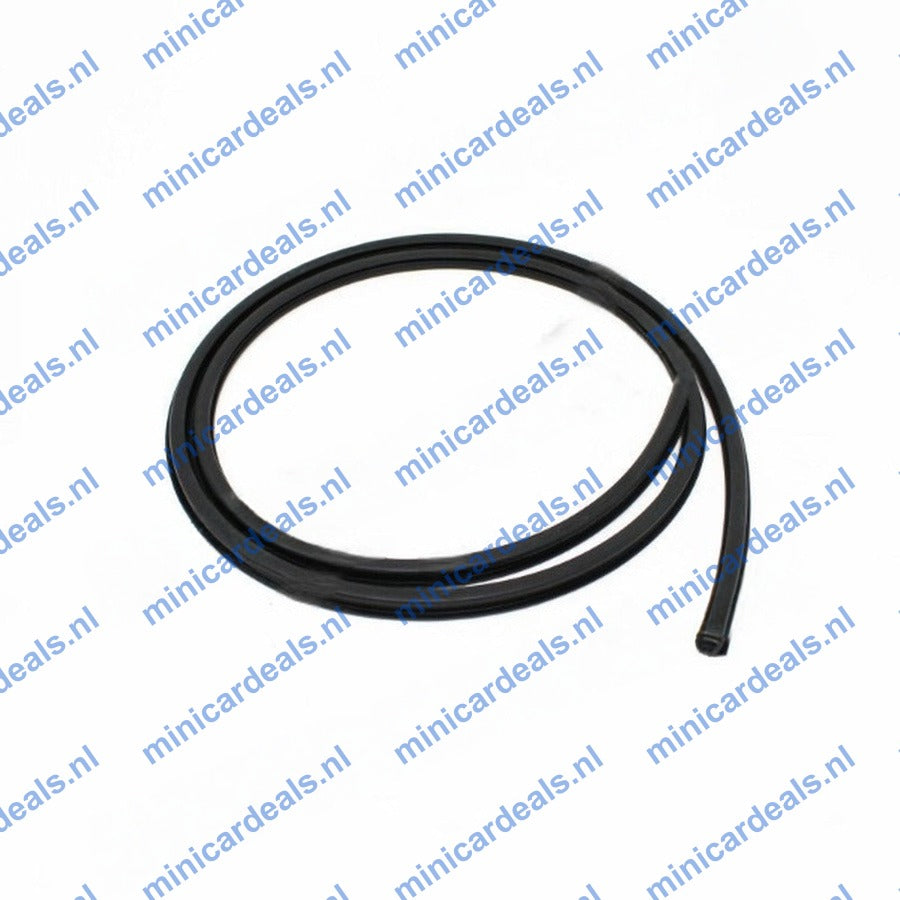Windschutzscheibegummi, Ligier(IXO)