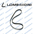 Zahnriemen Lombardini FOCS/PROGRESS, LWD 502(505)